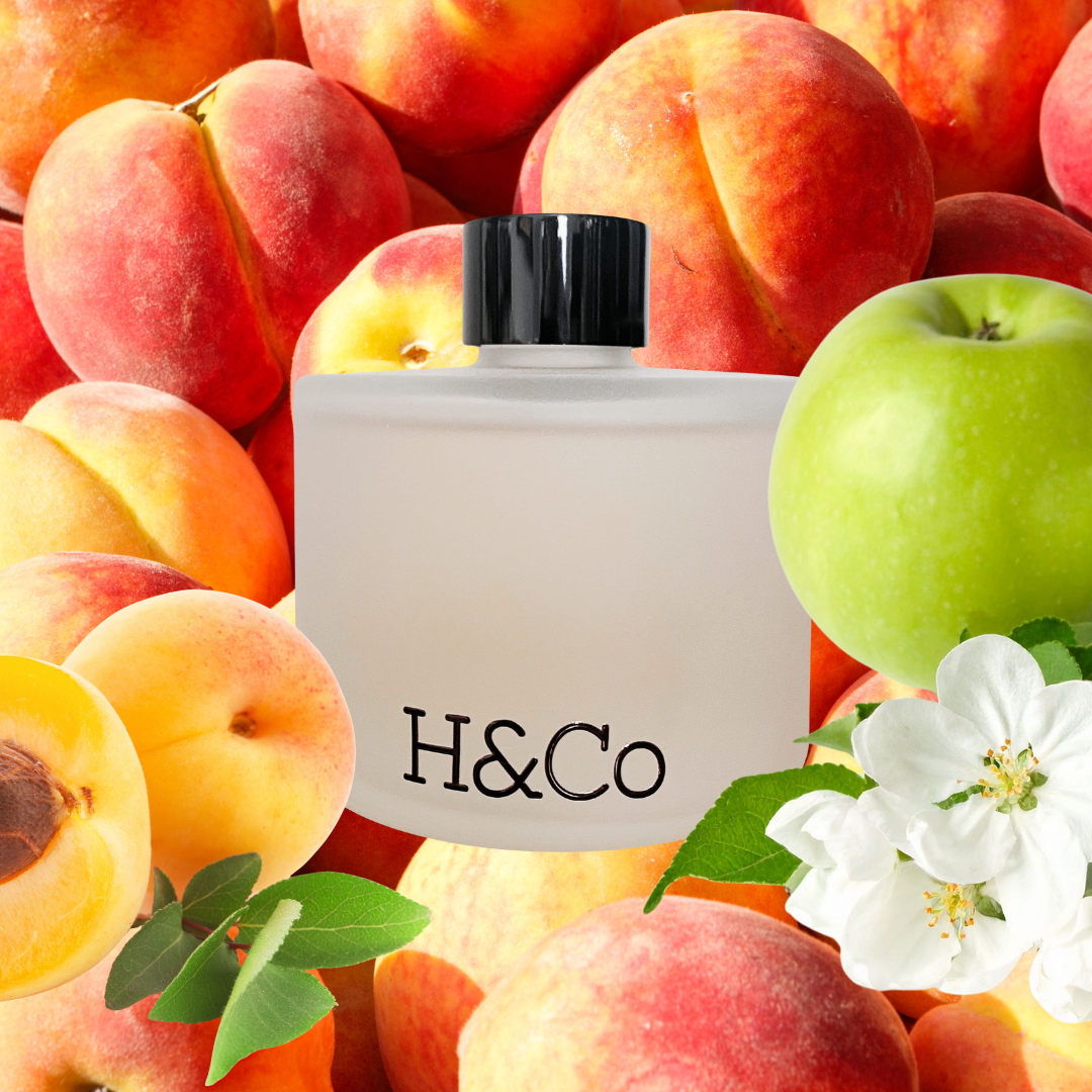 Difusor de Aromas 240ml